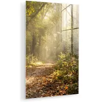 MuchoWow Glasschilderij 40x60 cm - Schilderij acrylglas - Zonlicht - Bospad - Bomen - Foto op glas - Muurdecoratie woonkamer - Wanddecoratie slaapkamer - Schilderijen