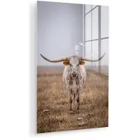 MuchoWow Glasschilderij 60x90 cm - Schilderij acrylglas - Longhorn - Grasveld - Dier - Foto op glas - Muurdecoratie woonkamer - Wanddecoratie slaapkamer - Schilderijen