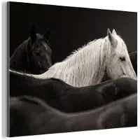 MuchoWow Aluminium schilderij 160x120 cm - Wanddecoratie metaal - Paarden - Zwart - Wit - Kudde - Metalen muurdecoratie woonkamer - Decoratie industrieel - Foto op dibond - Industriële accessoires slaapkamer