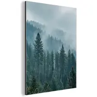 MuchoWow Aluminium schilderij 30x40 cm - Wanddecoratie metaal - Naaldwoud - Bergen - Mist - Metalen muurdecoratie woonkamer - Decoratie industrieel - Foto op dibond - Industriële accessoires slaapkamer
