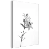 MuchoWow Aluminium schilderij 120x160 cm - Wanddecoratie metaal - Lelies - Elegant - Zwart - Wit - Metalen muurdecoratie woonkamer - Decoratie industrieel - Foto op dibond - Industriële accessoires slaapkamer