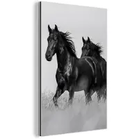 MuchoWow Aluminium schilderij 20x30 cm - Wanddecoratie metaal - Paarden - Gras - Zwart - Wit - Metalen muurdecoratie woonkamer - Decoratie industrieel - Foto op dibond - Industriële accessoires slaapkamer