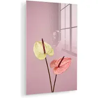 MuchoWow Glasschilderij 20x30 cm - Schilderij acrylglas - Bloemen - Anthuriums - Geel - Roze - Foto op glas - Muurdecoratie woonkamer - Wanddecoratie slaapkamer - Schilderijen