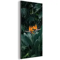 MuchoWow Aluminium schilderij 80x160 cm - Wanddecoratie metaal - Paradijsvogel - Bloem - Exotisch - Metalen muurdecoratie woonkamer - Decoratie industrieel - Foto op dibond - Industriële accessoires slaapkamer