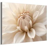 MuchoWow Aluminium schilderij 30x20 cm - Wanddecoratie metaal - Bloem - Dahlia - Wit - Metalen muurdecoratie woonkamer - Decoratie industrieel - Foto op dibond - Industriële accessoires slaapkamer