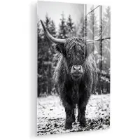 MuchoWow Glasschilderij 60x90 cm - Schilderij acrylglas - Schotse hooglander - Zwart - Wit - Sneeuwvlokken - Foto op glas - Muurdecoratie woonkamer - Wanddecoratie slaapkamer - Schilderijen