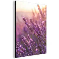 MuchoWow Aluminium schilderij 120x160 cm - Wanddecoratie metaal - Lavendel - Paars - Zonlicht - Metalen muurdecoratie woonkamer - Decoratie industrieel - Foto op dibond - Industriële accessoires slaapkamer