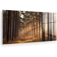 MuchoWow Glasschilderij 160x80 cm - Schilderij acrylglas - Bos - Mist - Zonlicht - Foto op glas - Muurdecoratie woonkamer - Wanddecoratie slaapkamer - Schilderijen