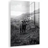 MuchoWow Glasschilderij 120x160 cm - Schilderij acrylglas - Schotse hooglander - Kalf - Zwart - Wit - Foto op glas - Muurdecoratie woonkamer - Wanddecoratie slaapkamer - Schilderijen