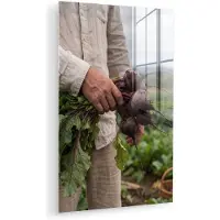 MuchoWow Glasschilderij 120x180 cm - Schilderij acrylglas - Bieten - Vers - Moestuin - Foto op glas - Muurdecoratie woonkamer - Wanddecoratie slaapkamer - Schilderijen