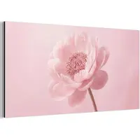 MuchoWow Aluminium schilderij 80x40 cm - Wanddecoratie metaal - Bloem - Pioenroos - Roze - Metalen muurdecoratie woonkamer - Decoratie industrieel - Foto op dibond - Industriële accessoires slaapkamer