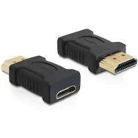 DeLOCK HDMI Mini naar HDMI Verloopstekker