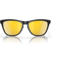 Oakley Frogskins Hybrid Gepolariseerde Zonnebril