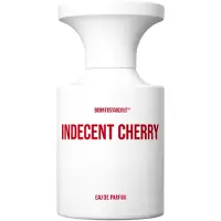 BORNTOSTANDOUT Perfume Indecent Cherry Eau de Parfum 50ml | Unisex Parfum