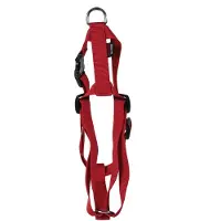 Martin hondentuig basic nylon rood