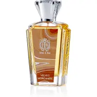 Attar al Has Terrea Mysteria Collection Velvet Morganite Extrait De Parfum 100ml | Unisex Parfum