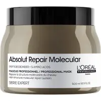 L'Oréal Professionnel Série Expert Absolut Repair Moleculair Masker - 500ml | Voor Droog Haar
