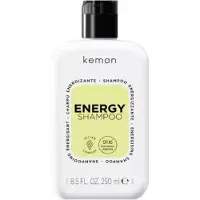 Kemon Energy Shampoo - 250ml