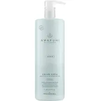 Paul Mitchell Conditioner - Awapuhi Wild Ginger - 1000 ml