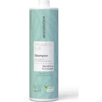 Wunderbar Smooth'n Shine Droog Haar Shampoo - 1000ml