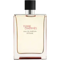 Hermès Paris Hermés Terre d'Intense 175 ml Eau de Parfum Spray