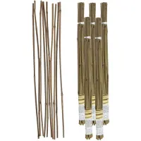 Gerimport Plantenstokken - 50x stuks - bamboe - 60 cm - plantensteun / tonkinstokken