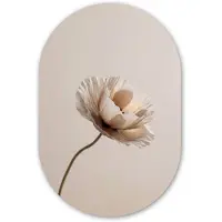 MuchoWow Muurovaal 40x60 cm - Ovale wanddecoratie Bloem - Beige - Crème - Ovalen schilderij - Muurdecoratie woonkamer - Kamer decoratie - Schilderijen - Wandcirkel