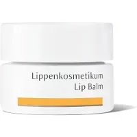 Dr. Hauschka Lipverzorging Lipcosmetica 4.5 ml
