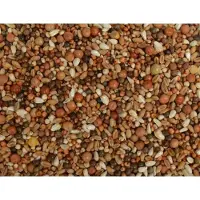 Uniestar Haagse / Junior zonder mais 20 kg