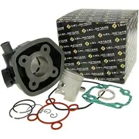 101 Octane Ip12079 Cilinderkit