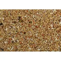 Uniestar Zuiveringsmengeling 20 kg
