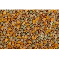 Uniestar Excellent Kweek/Vlieg 20 kg