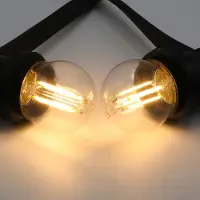 LumenXL Prikkabel set met 2,5W of 4,5 lamp, 2700K, Ø45, helder glas, dimbaar - incl. dimmer