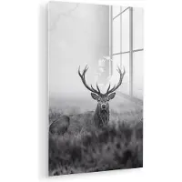 MuchoWow Glasschilderij 120x180 cm - Schilderij acrylglas - Hert - Mistig - Zwart - Wit - Foto op glas - Muurdecoratie woonkamer - Wanddecoratie slaapkamer - Schilderijen