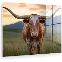 MuchoWow Glasschilderij 160x120 cm - Schilderij acrylglas - Longhorn - Landschap - Zonsondergang - Foto op glas - Muurdecoratie woonkamer - Wanddecoratie slaapkamer - Schilderijen
