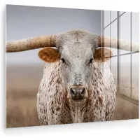 MuchoWow Glasschilderij 160x120 cm - Schilderij acrylglas - Longhorn - Grasveld - Dier - Foto op glas - Muurdecoratie woonkamer - Wanddecoratie slaapkamer - Schilderijen