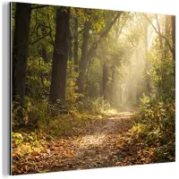 MuchoWow Aluminium schilderij 160x120 cm - Wanddecoratie metaal - Zonlicht - Bospad - Bomen - Metalen muurdecoratie woonkamer - Decoratie industrieel - Foto op dibond - Industriële accessoires slaapkamer