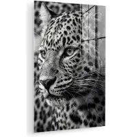 MuchoWow Glasschilderij 120x180 cm - Schilderij acrylglas - Luipaard - Zwart - Wit - Oog - Foto op glas - Muurdecoratie woonkamer - Wanddecoratie slaapkamer - Schilderijen