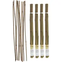 Gerimport Plantenstokken - 40x stuks - bamboe - 60 cm - plantensteun / tonkinstokken