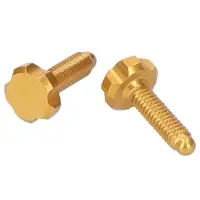 OAK Root Lever Pro Schroevenset Goud
