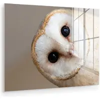 MuchoWow Glasschilderij 160x120 cm - Schilderij acrylglas - Uil - Bruin - Wit - Foto op glas - Muurdecoratie woonkamer - Wanddecoratie slaapkamer - Schilderijen