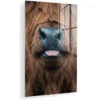 MuchoWow Glasschilderij 120x180 cm - Schilderij acrylglas - Schotse hooglander - Neus - Bruin - Foto op glas - Muurdecoratie woonkamer - Wanddecoratie slaapkamer - Schilderijen