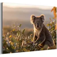 MuchoWow Aluminium schilderij 180x120 cm - Wanddecoratie metaal - Koala - Bladeren - Ochtendlicht - Metalen muurdecoratie woonkamer - Decoratie industrieel - Foto op dibond - Industriële accessoires slaapkamer