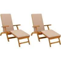 vidaXL Ligstoel die kan leunen en vouwen 2 pcs 55 x 146 x 91 cm