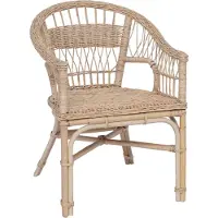 vidaXL Stapelstoel Rattan Naturel 60 x 60 x 81 cm