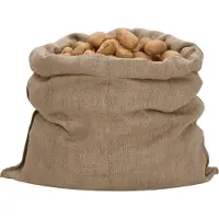 vidaXL Jutezakken 10 stuks 100x110 cm 100% Jute 340 g/m²