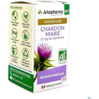 Arkopharma Arkogélules Chardon Marie Bio 45 Gélules