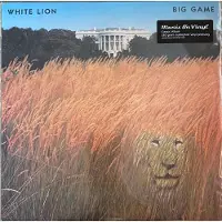 MUSIC ON VINYL BIG GAME