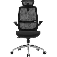 Sihoo M59S ergonomische bureaustoel, bureaustoel met 3D-gecoördineerde opklapbare armleuningen, computerstoel met dual-back-ontwerp en adaptieve dynamische lendensteun (zwart)