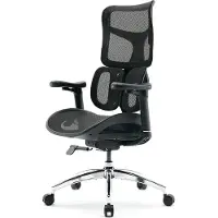 Sihoo Dora S100 ergonomische bureaustoel: zwart frame, zwart mesh